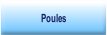 Poules.