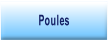 Poules.